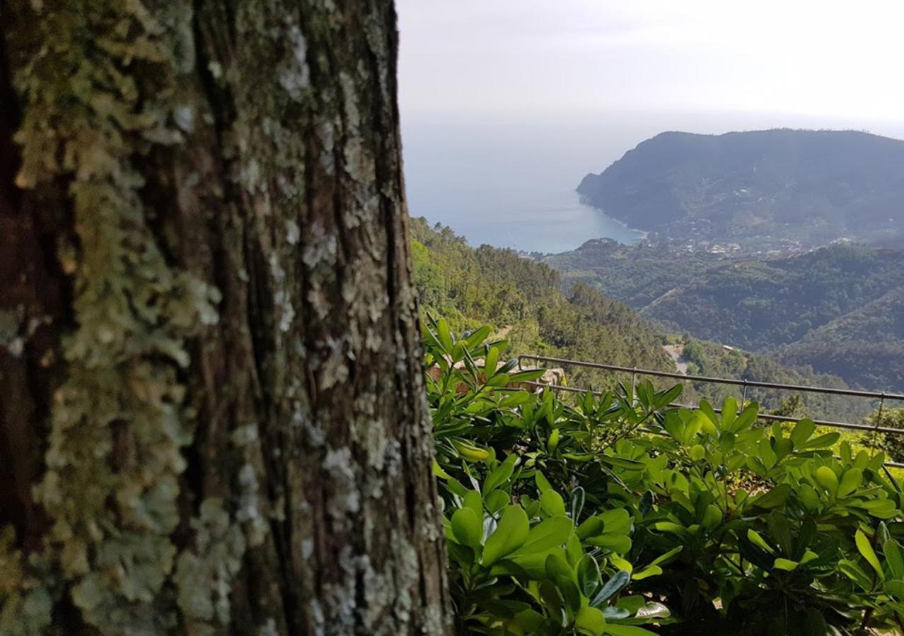 Santuario Ns Soviore Cinque Terre 蒙特罗索阿尔马雷 外观 照片
